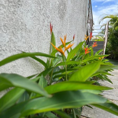 Cosy 2 Bedrooms Apts In Pereybere -Seasons Break Apartment Pereybere Beach Extérieur photo