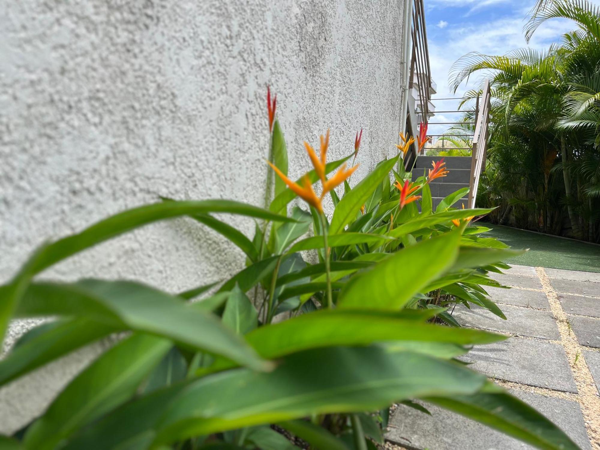 Cosy 2 Bedrooms Apts In Pereybere -Seasons Break Apartment Pereybere Beach Extérieur photo